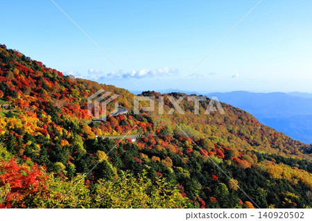 The spectacular autumn foliage along the Bandai-Azuma Skyline, a road in the sky. The spectacular autumn foliage along the Bandai-Azuma Skyline, a road in the sky. 140920502