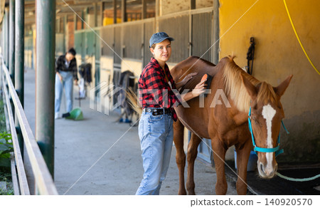 European girl has tied horse to hitching post and is combing animals croup European girl has tied horse to hitching post and is combing animals croup 140920570