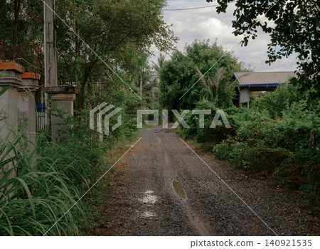 the road to the forest the road to the forest 140921535