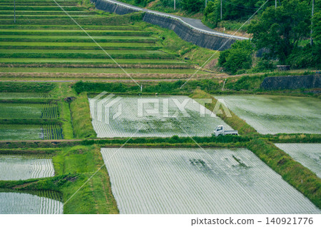 長野縣農村稻田地區 140921776
