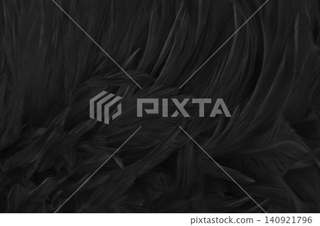 Beautiful black grey bird feathers pattern texture background. Beautiful black grey bird feathers pattern texture background. 140921796