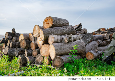 Stacked firewood Stacked firewood 140921810