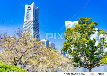 [Kanagawa Prefecture] Yokohama Minato Mirai - Landmark Tower beyond the cherry blossoms along the Kishamichi promenade 140922001