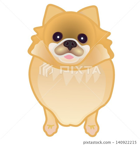 博美犬插圖 博美犬插圖 140922215