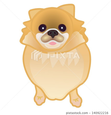 博美犬插圖 博美犬插圖 140922216