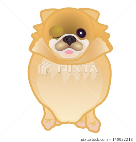 博美犬插圖 博美犬插圖 140922218