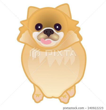 博美犬插圖 博美犬插圖 140922223