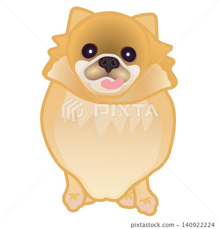 博美犬插圖 博美犬插圖 140922224