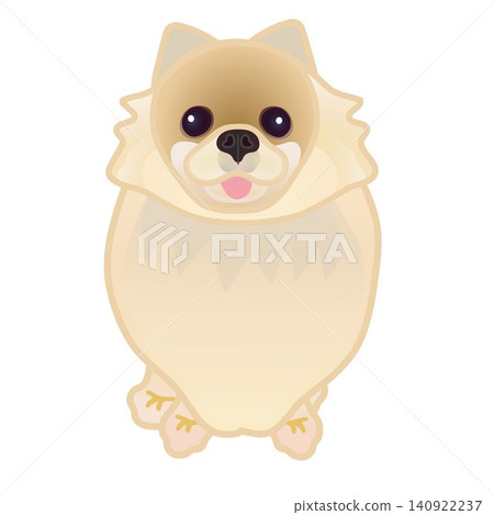 博美犬插圖 博美犬插圖 140922237
