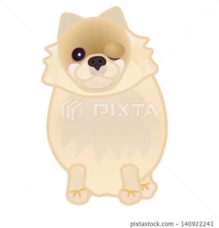 博美犬插圖 博美犬插圖 140922241