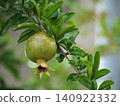Pomegranate fruit Pomegranate fruit 140922332