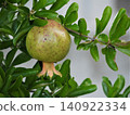 Pomegranate fruit Pomegranate fruit 140922334