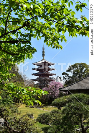 Asakusa, Tokyo, Japan, in spring: A view of the five-story pagoda and surrounding cityscape from the Denpoin Garden of Senso-ji Temple, with cherry blossoms in full bloom and a beautiful blue sky. Asakusa, Tokyo, Japan, in spring: A view of the five-story pagoda and surrounding cityscape from the Denpoin Garden of Senso-ji Temple, with cherry blossoms in full bloom and a beautiful blue sky. 140923179