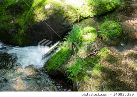 Mossy rocks and clear stream Mossy rocks and clear stream 140923389