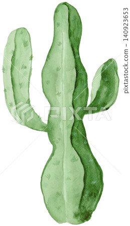 Thick Green Cactus Watercolor Element Thick Green Cactus Watercolor Element 140923653