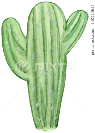 Watercolor thick green cactus element Watercolor thick green cactus element 140923655