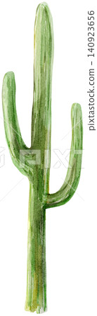 Watercolor Green Thin Cactus Element Watercolor Green Thin Cactus Element 140923656