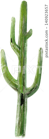 Watercolor Tall Green Cactus Element Watercolor Tall Green Cactus Element 140923657