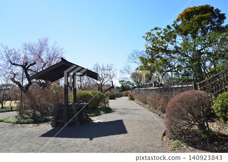 水戶梅花節,2026年3月12日,#101 水戶梅花節,2026年3月12日,#101 140923843