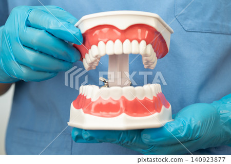 Denture, dentist holding dental teeth model to study and treat in hospital. Denture, dentist holding dental teeth model to study and treat in hospital. 140923877