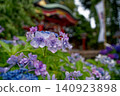 The temple grounds, where hydrangeas and the temple gate can be seen. 140923898
