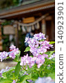 A view of pink hydrangeas and the temple gate. 140923901
