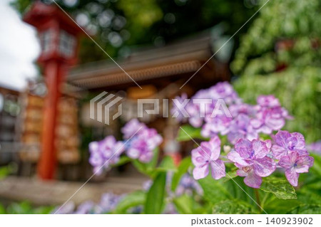 Pink hydrangeas and a red shrine 140923902