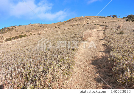 伊豆半島上的伊豆山脊步道：一條穿過宇久須峠草地的攀登步道。 140923953