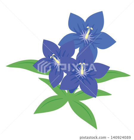 龍膽花 龍膽花 140924089