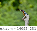 Kingfisher swallowing a fish 140924231