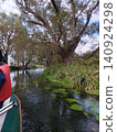Azumino king wasabi farm 140924298