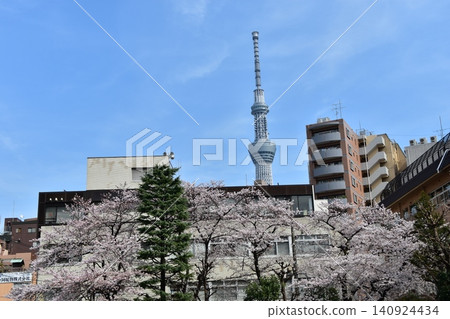 The streets around Asakusa in Tokyo, Japan; Tokyo Skytree and surrounding apartment buildings; cherry blossoms in full bloom and a beautiful blue sky. The streets around Asakusa in Tokyo, Japan; Tokyo Skytree and surrounding apartment buildings; cherry blossoms in full bloom and a beautiful blue sky. 140924434