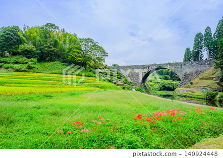 On a cloudy autumn day, the vibrant red spider lilies blooming in front of the Tsujun Bridge create a beautiful rice paddy landscape with golden terraced rice fields. On a cloudy autumn day, the vibrant red spider lilies blooming in front of the Tsujun Bridge create a beautiful rice paddy landscape with golden terraced rice fields. 140924448