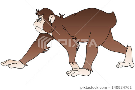 Hand-drawn animal illustration ☆ Monkey 140924761