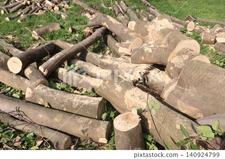 Wooden logs stock on saw mill Wooden logs stock on saw mill 140924799