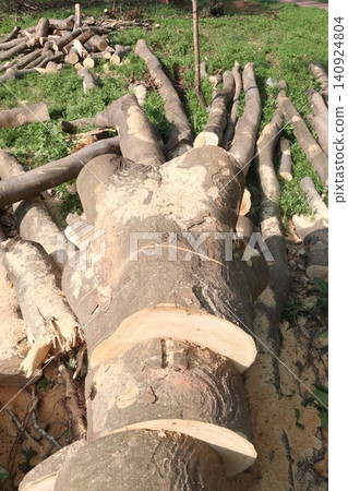 Wooden logs stock on saw mill Wooden logs stock on saw mill 140924804