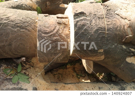 Wooden logs stock on saw mill Wooden logs stock on saw mill 140924807