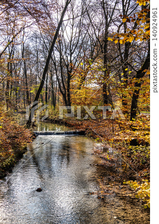 Golden autumn view in famous Munich relax place - Englischer Garten. Munich, Bavaria, Germany Golden autumn view in famous Munich relax place - Englischer Garten. Munich, Bavaria, Germany 140924961