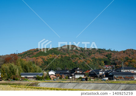 鳥取縣鳥取市甲府町稻葉山的紅葉 140925259