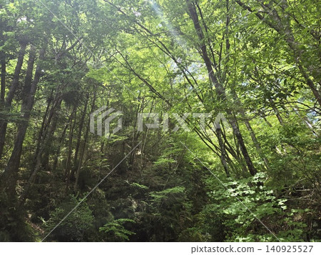 鬼怒川行下降 鬼怒川行下降 140925527