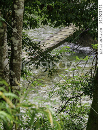 A simple wooden log bridge spanning a clear stream surrounded by lush new greenery. A simple wooden log bridge spanning a clear stream surrounded by lush new greenery. 140925731