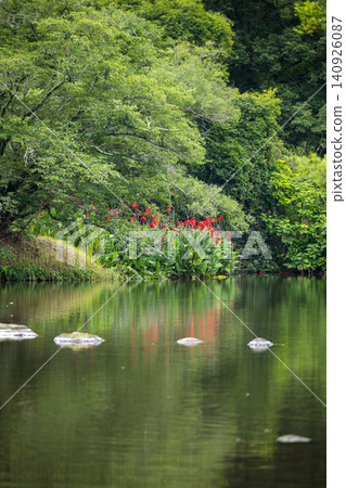 Hakenomiya Park with beautiful water that blooms during the rainy season Hakenomiya Park with beautiful water that blooms during the rainy season 140926087