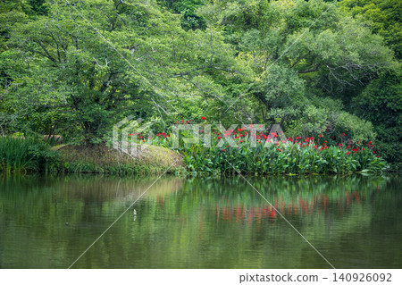 Hakenomiya Park with beautiful water that blooms during the rainy season Hakenomiya Park with beautiful water that blooms during the rainy season 140926092