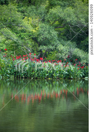 Hakenomiya Park with beautiful water that blooms during the rainy season Hakenomiya Park with beautiful water that blooms during the rainy season 140926099