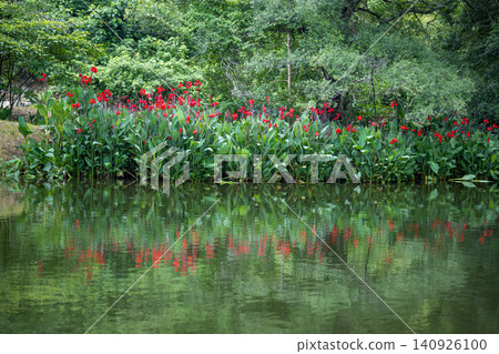 Hakenomiya Park with beautiful water that blooms during the rainy season Hakenomiya Park with beautiful water that blooms during the rainy season 140926100
