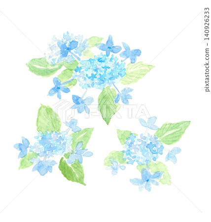 水彩繡球花 水彩繡球花 140926233