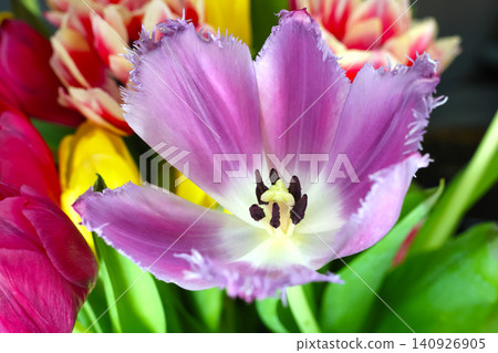 Vibrant Spring Floral Arrangement Featuring Purple Tulip Vibrant Spring Floral Arrangement Featuring Purple Tulip 140926905