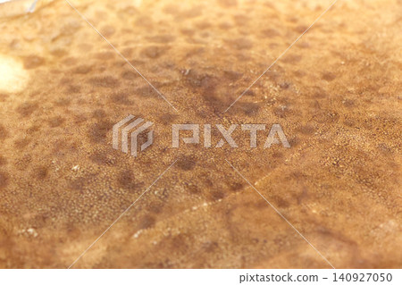 Close-Up of Brown Organic Texture for Natural Design and Background Use Close-Up of Brown Organic Texture for Natural Design and Background Use 140927050