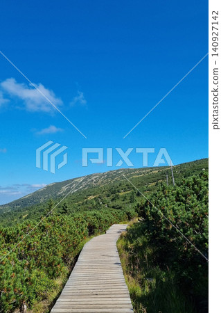 Walking path through green nature with blue sky and mountains in the background in summer Walking path through green nature with blue sky and mountains in the background in summer 140927142