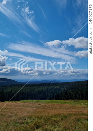 Expansive Forest and Sky Landscape: Nature's Serenity for Print and Design Projects Expansive Forest and Sky Landscape: Nature's Serenity for Print and Design Projects 140927176